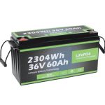 Fabriko Outlet Sekureco Dezajno Longa Vivo Mara 36v 60ah Baterio Lifepo4