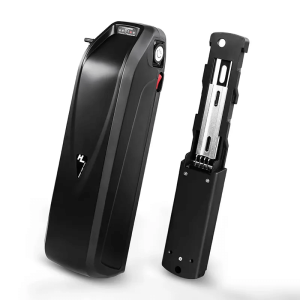 Hailong elektra skotero ebike baterio 48V 15Ah