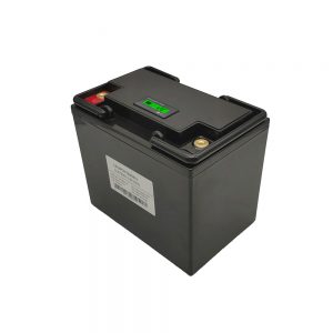 Malalta Temperaturo 48V 200AH Kun Mem-Varmigita Funkcio